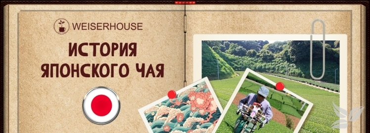 Новый выпуск Чайного Альманаха от WEISERHOUSE!