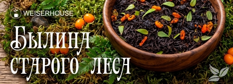 Погрузитесь в легенду! Чай «Былина старого леса»!