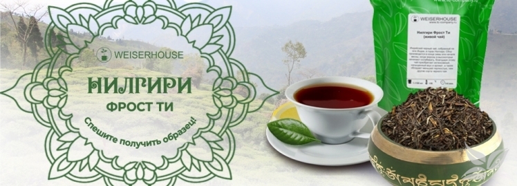 "Нилгири Фрост Ти" от WEISERHOUSE!