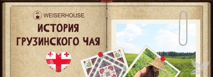 Чайный Альманах от WEISERHOUSE!