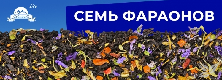 Семь фараонов от GRÜNBERG Lite!