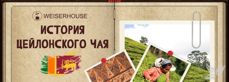 Новый выпуск Чайного Альманаха от WEISERHOUSE!