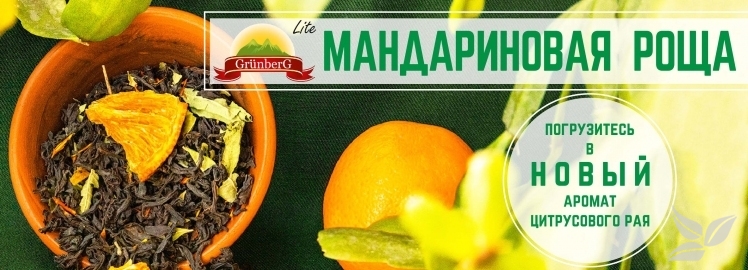 Новинка от GRÜNBERG